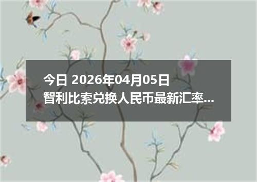 今日 2026年04月05日 智利比索兑换人民币最新汇率行情